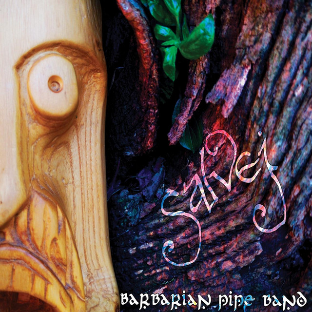 Salvej cover