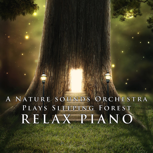 A Nature Sounds Orchestra Plays Sleeping Forest cover art