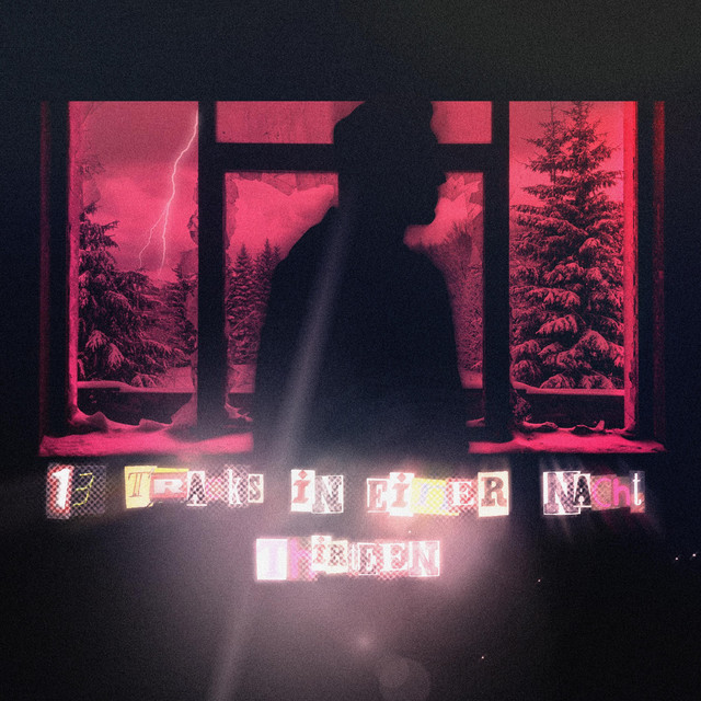 13 TRACKS IN EINER NACHT cover art