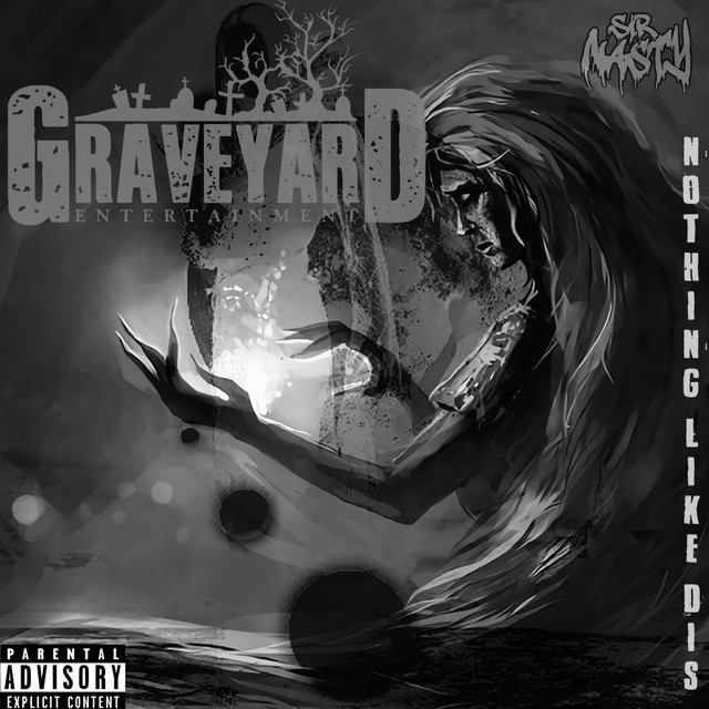 Nothing Like Dis cover art