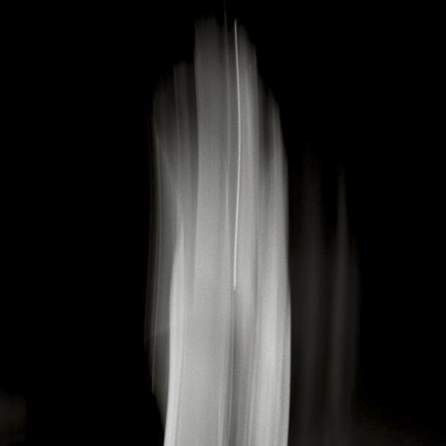 The Dark