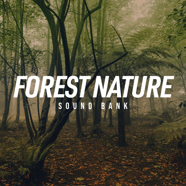 sound forest 邦楽 banbi