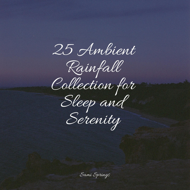 25 Ambient Rainfall Collection for Sleep and Serenity - Album by ...