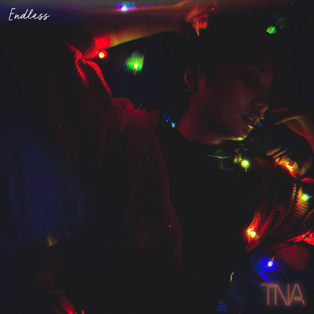 Endless cover art