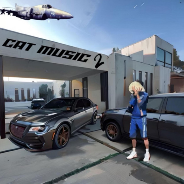 Cat Music 2 cover art