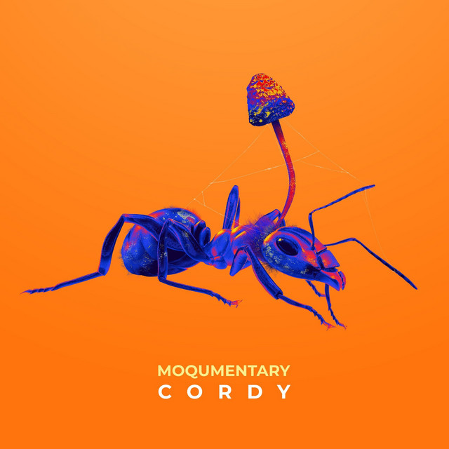 Cordy cover art