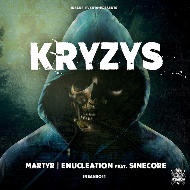 INSANE RECS 011 cover