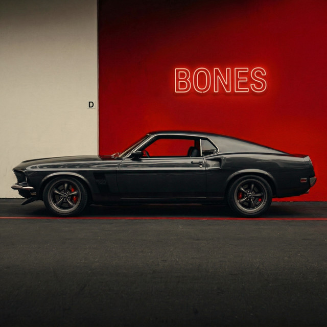 Bones cover art