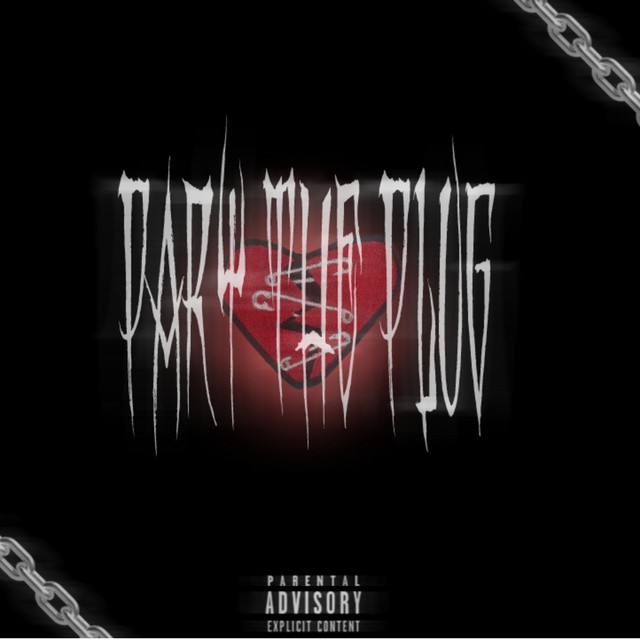 Pary the Plug! cover art