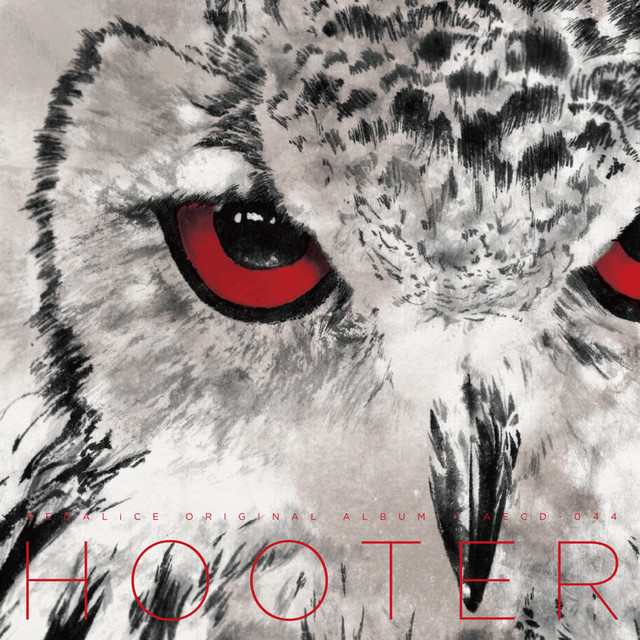 HOOTER cover art