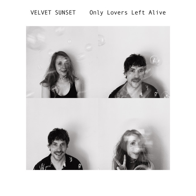 Only Lovers Left Alive cover
