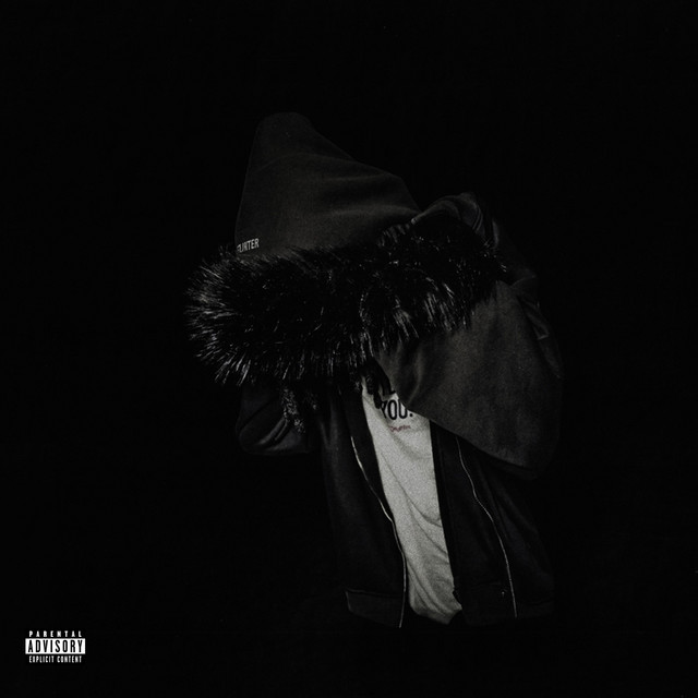 Holster cover art