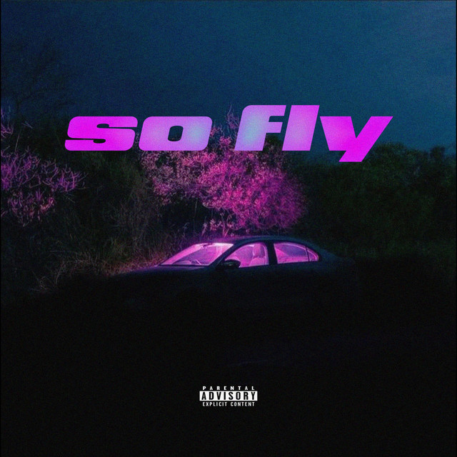 SO FLY