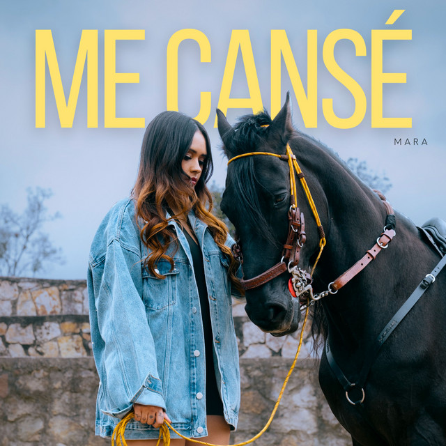 Me Cansé