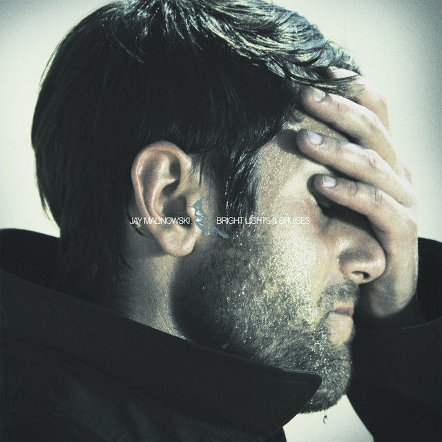 Bright Lights & Bruises cover art