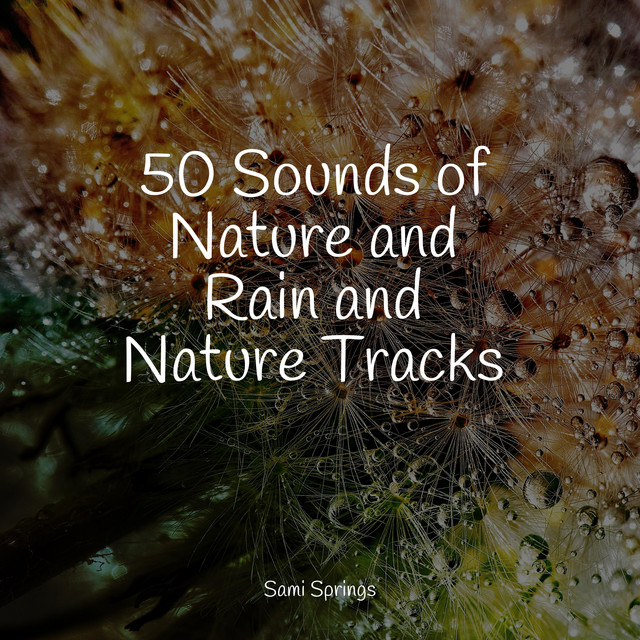 50 Sounds of Nature and Rain and Nature Tracks - Album by White Noise ...