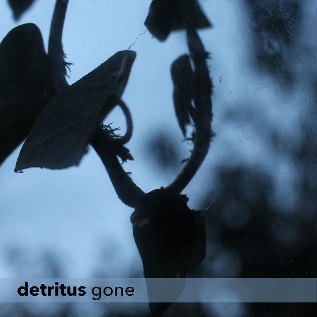 Gone cover art
