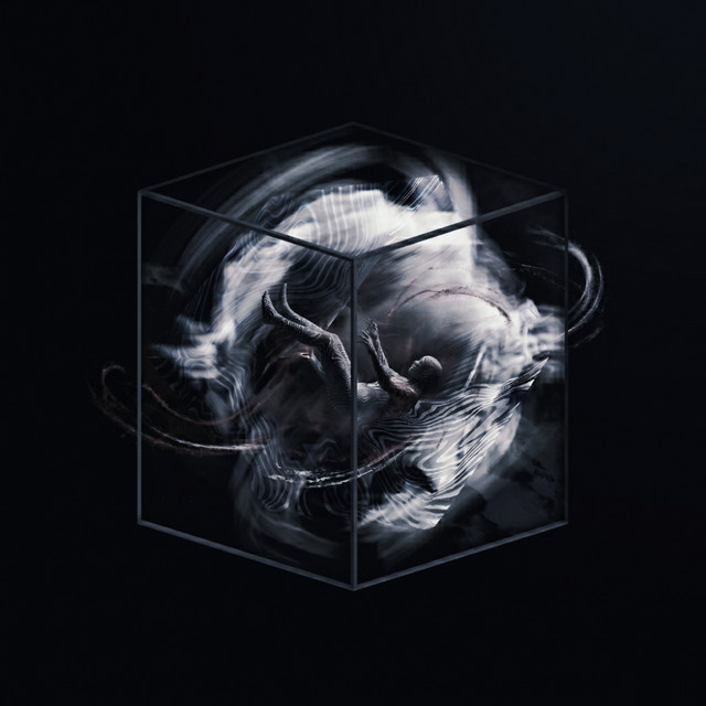 BOX album art