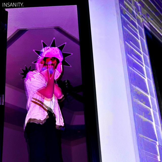 The cover to "insanity" by jude.gif