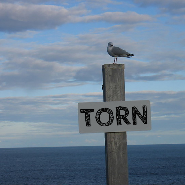 Torn (Piano Version) cover