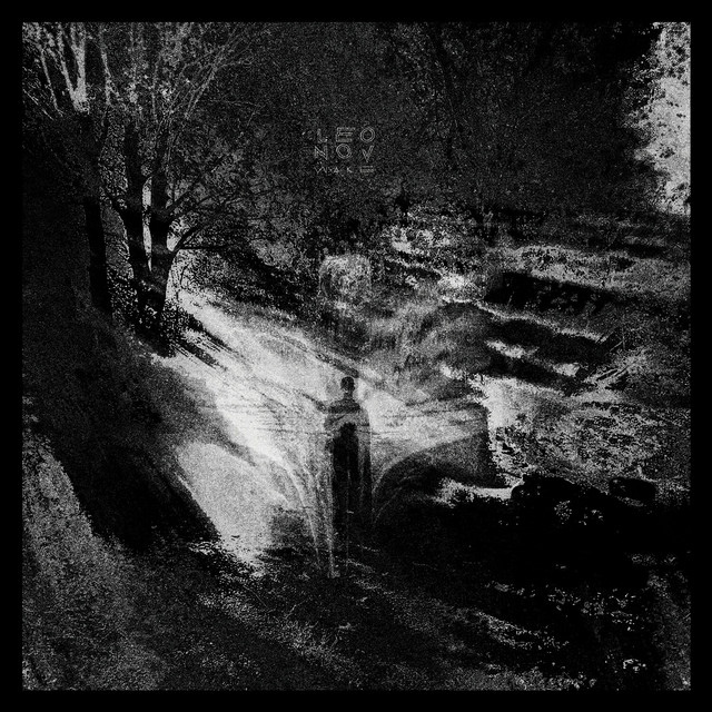 Wake cover art