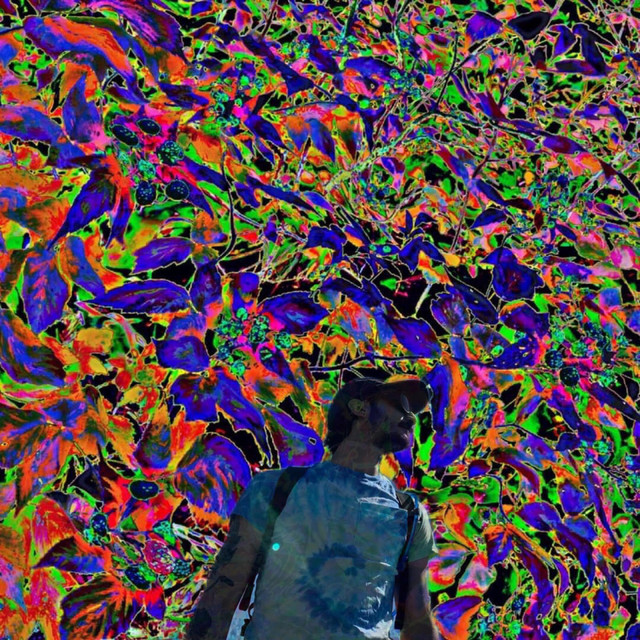 R. Solomon | Spotify