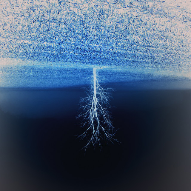 Forsaken, Forbidden, Forgotten cover art