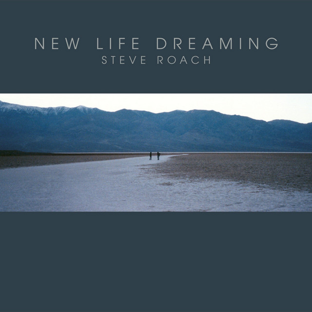New Life Dreaming cover art