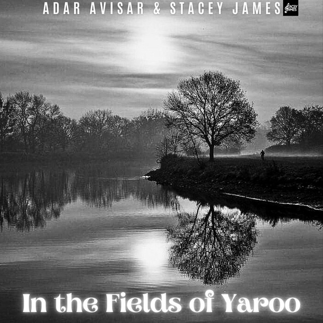 In the Fields Yaroo cover art