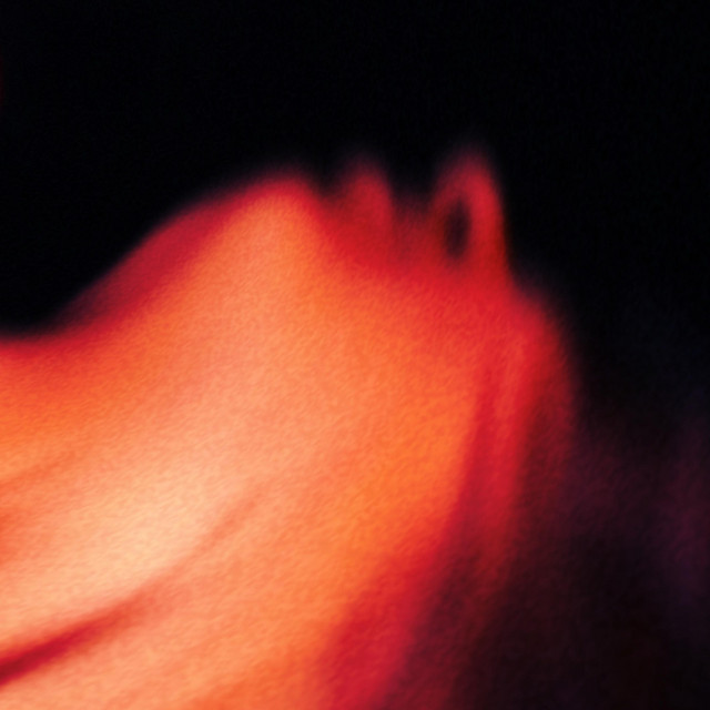 Into Noise cover art