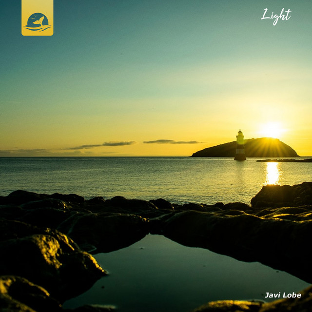 Light