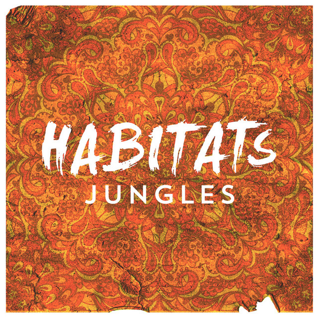 Jungles - Single cover