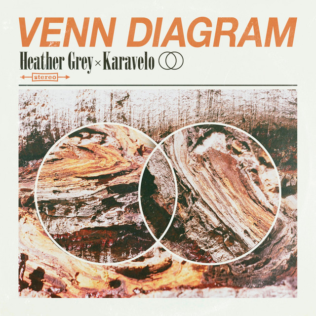 Venn Diagram cover