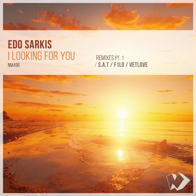 I Looking for You - F1lo Ethnic Remix cover art