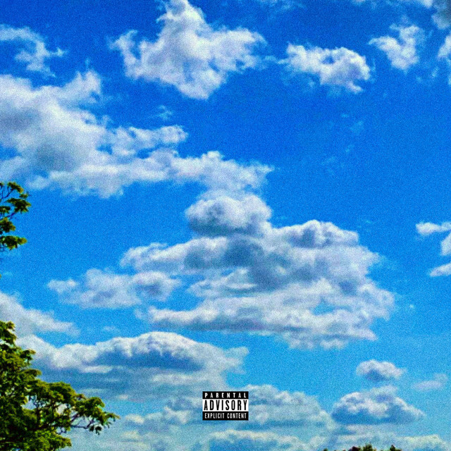 Nie zu laut cover art