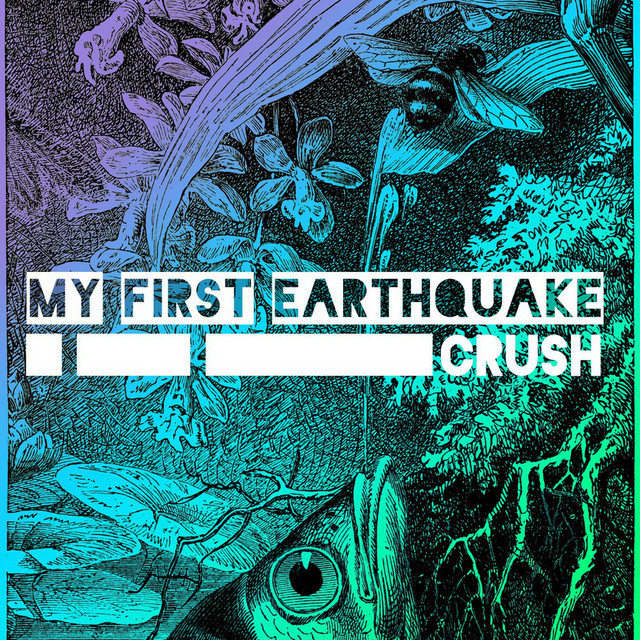 My First Earthquake