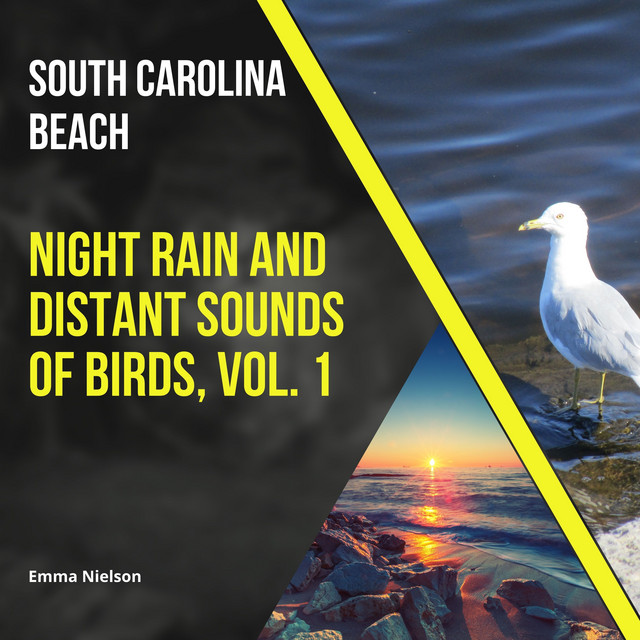 South Carolina Beach Night Rain and Distant Sounds of Birds, Vol. 1 cover art