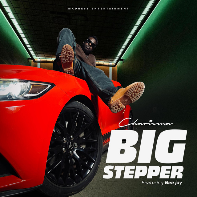 BIG STEPPER
