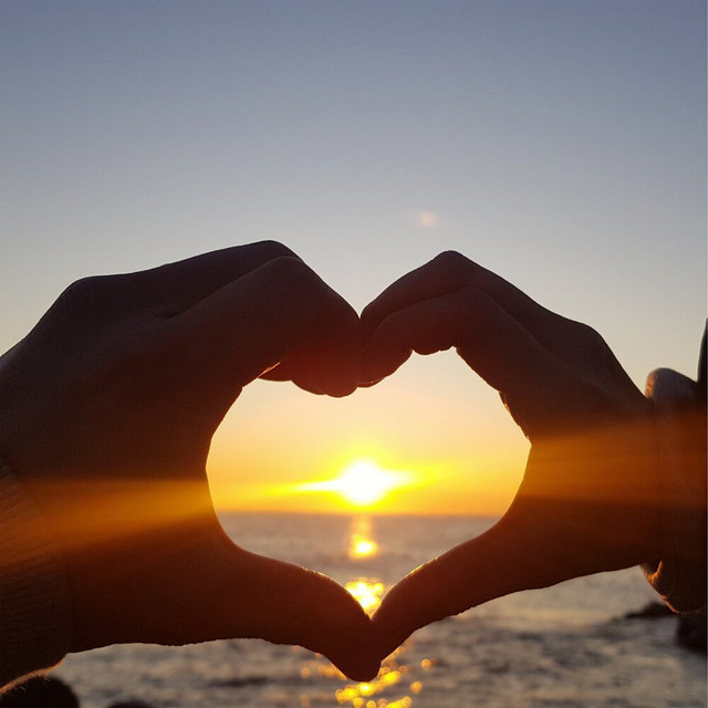 여름비 cover