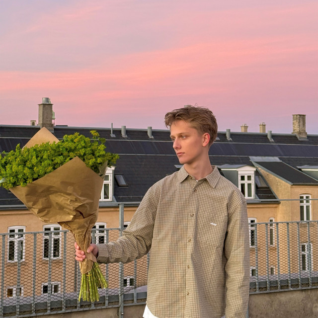 sæsoner cover art