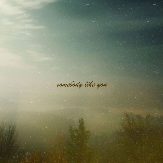 somebody like you