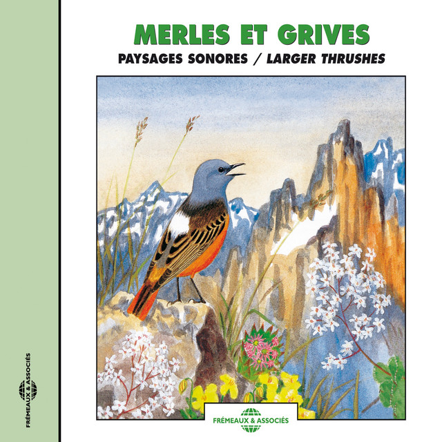 Merles Et Grives
