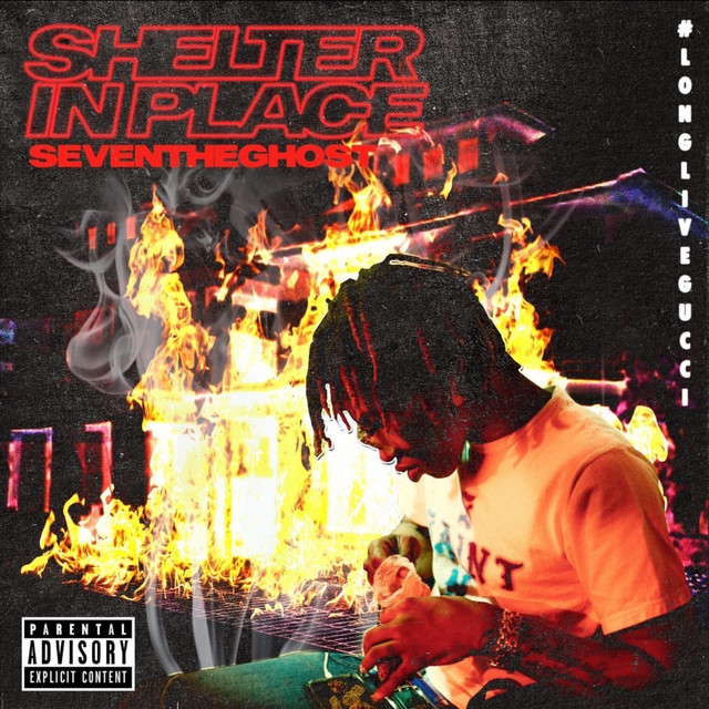 Shelter in Place cover art