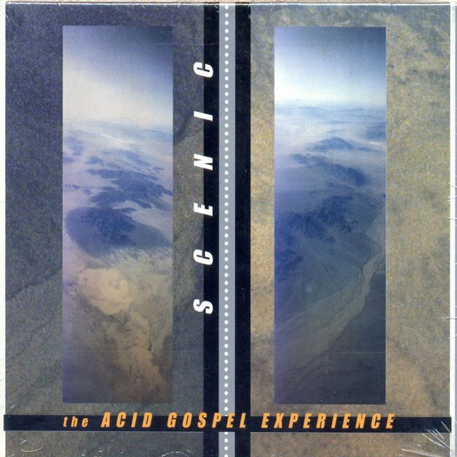 The Acid Gospel Experience cover art