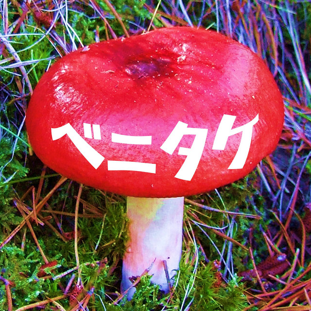 Cover art for HappyPizzaBread — Russula