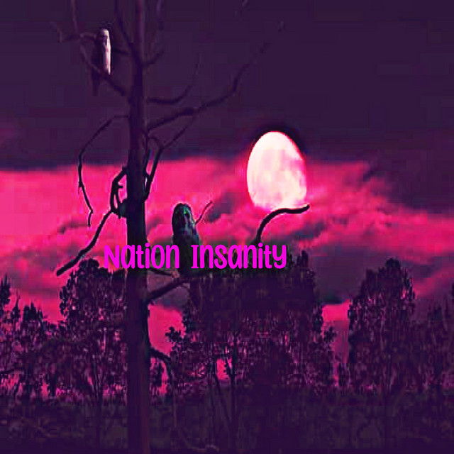 Nation Insanity cover