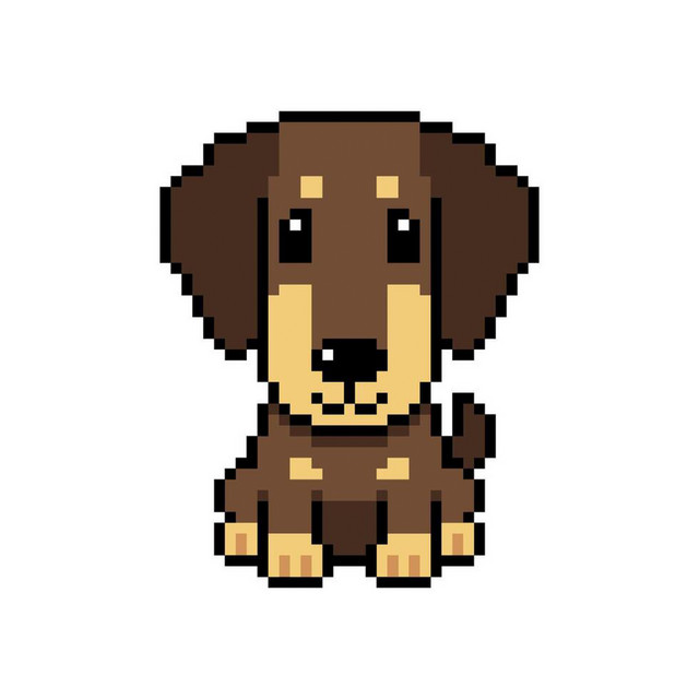 silly dog