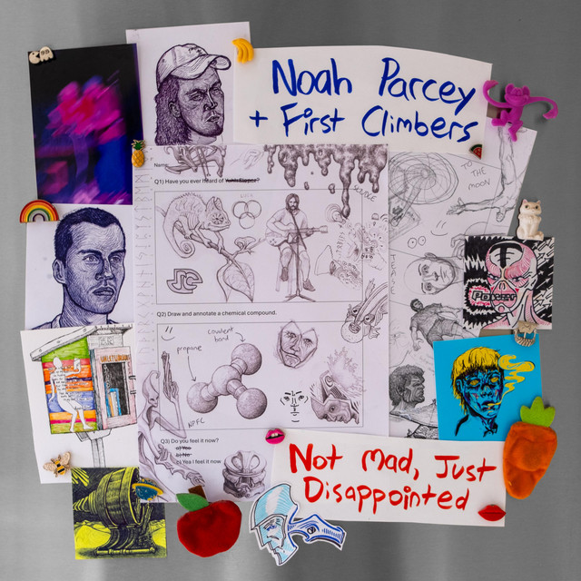 Not Mad, Just Disappointed cover art