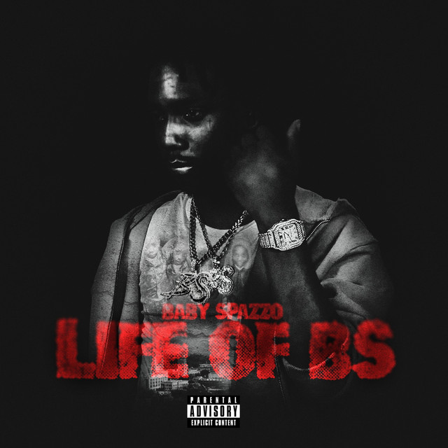 Life Of BS cover art