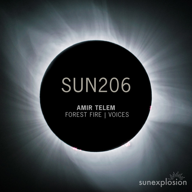 Обкладинка: Forest Fire — Amir Telem